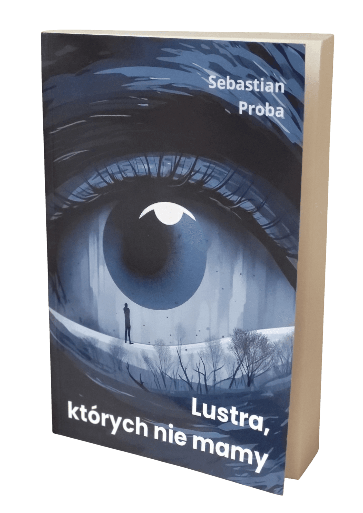 Lustra, których nie mamy