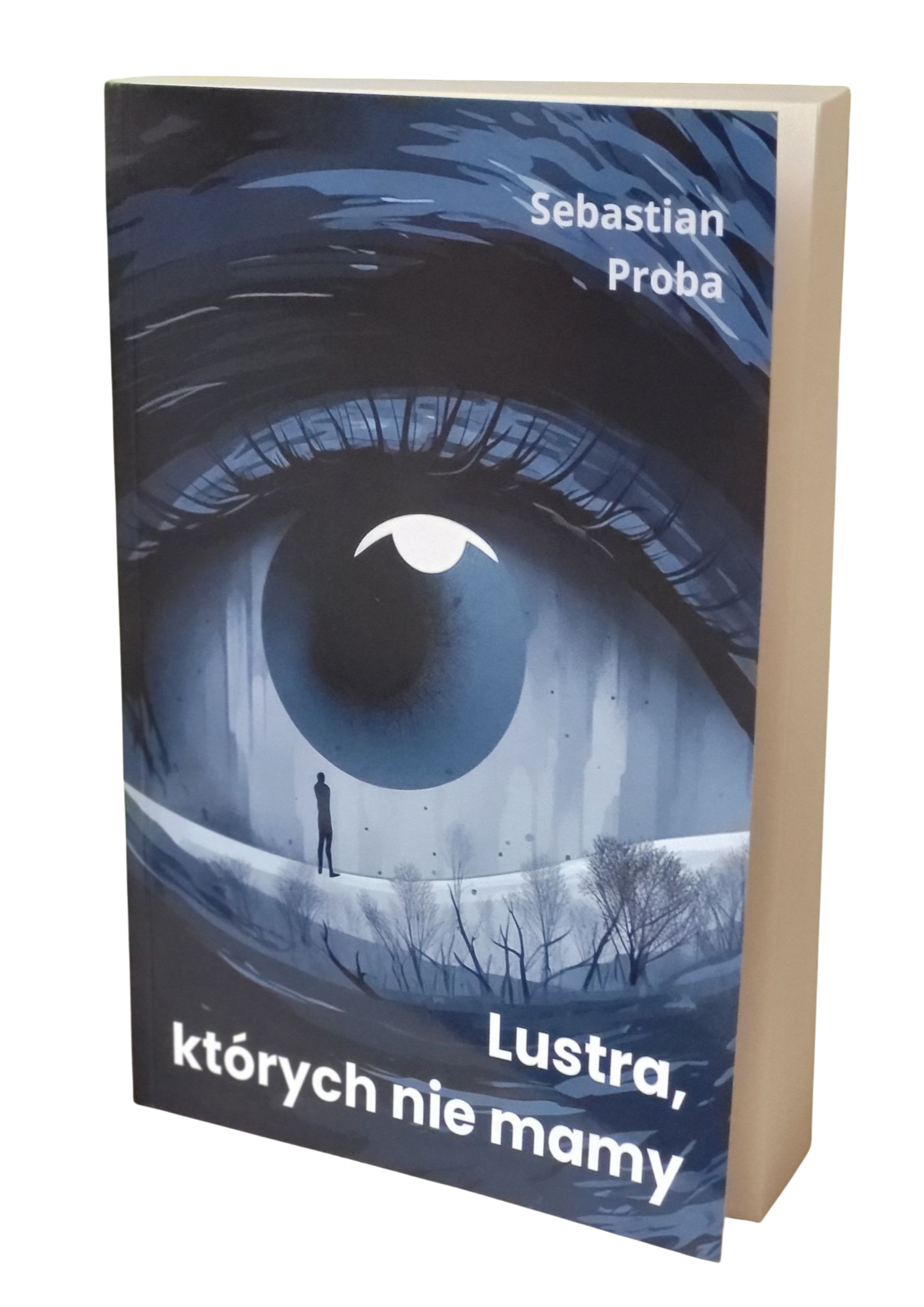 Lustra, których nie mamy